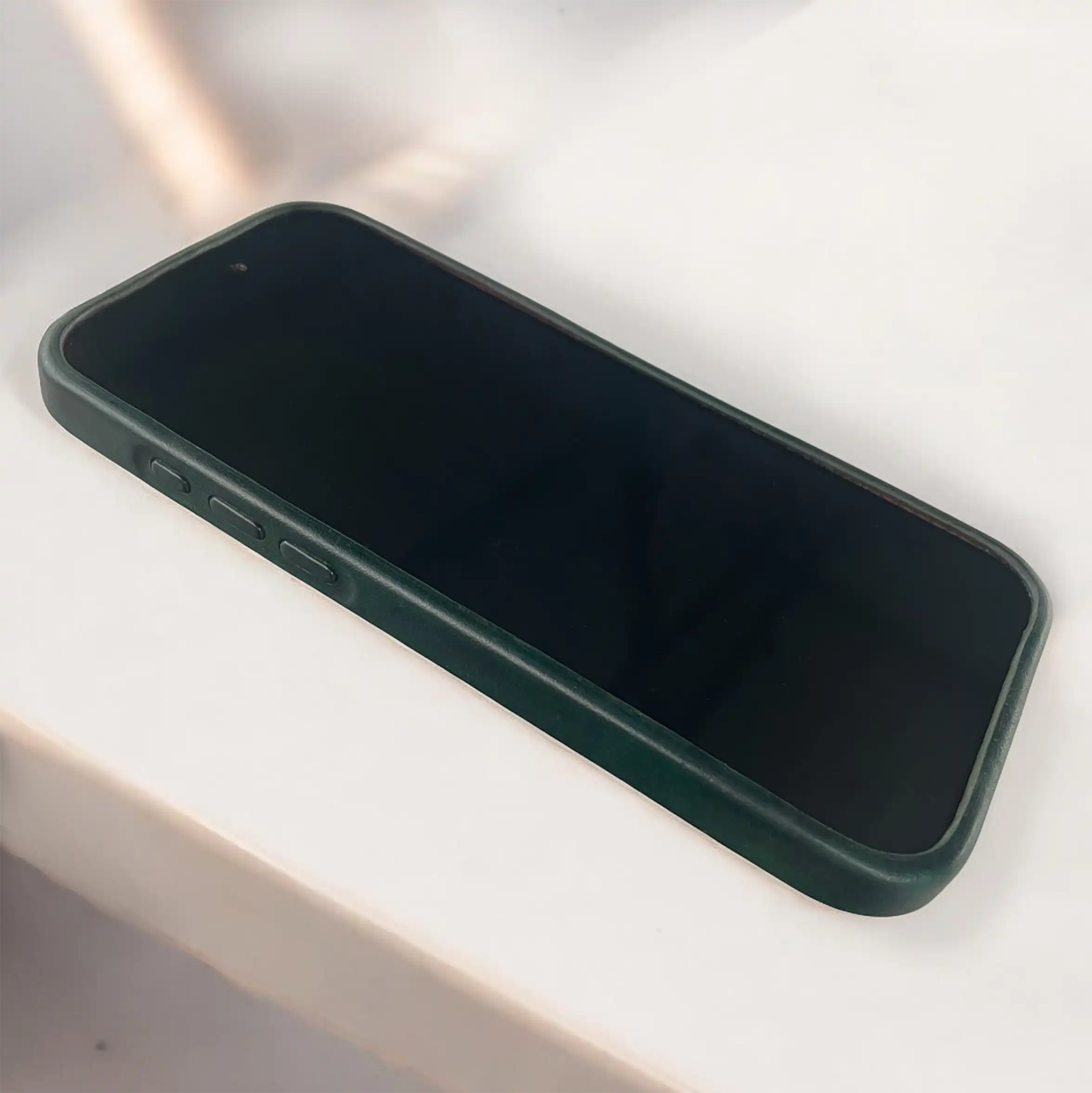 BridleBlack iPhone leather case.